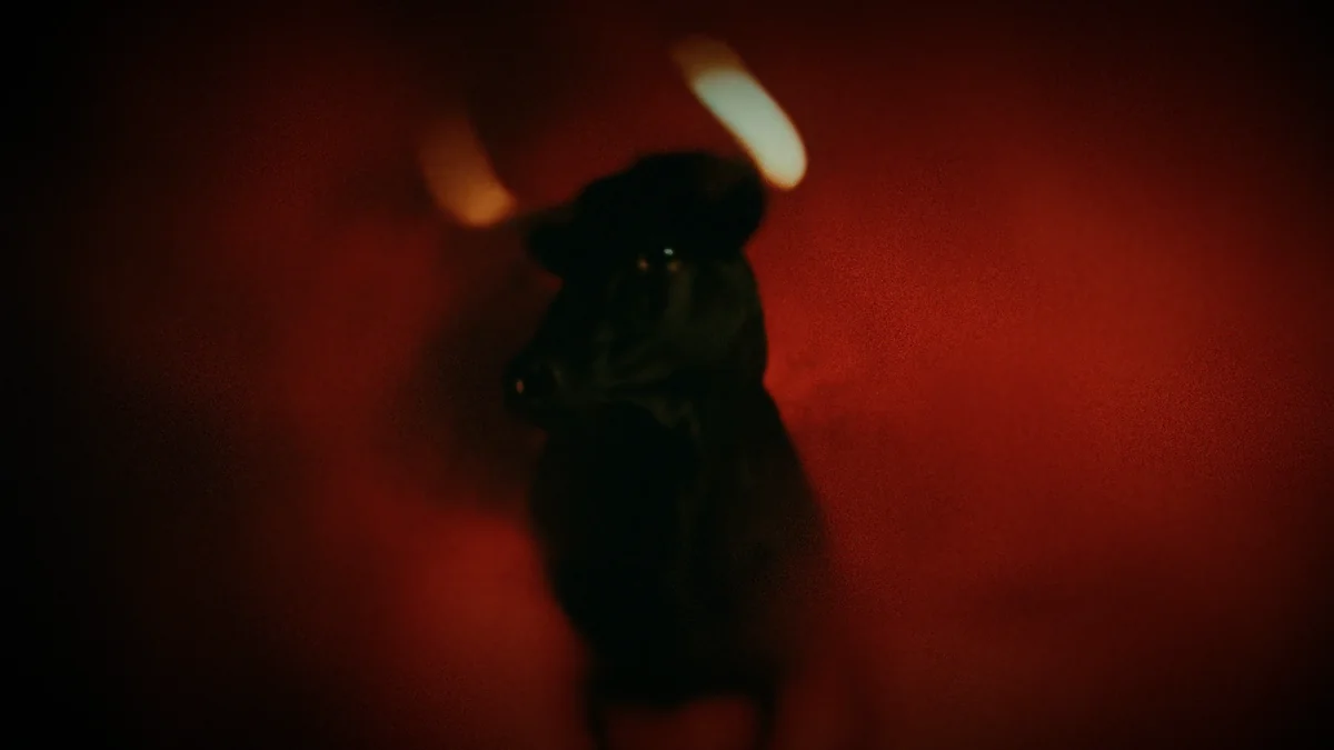 Lights Out · still 10