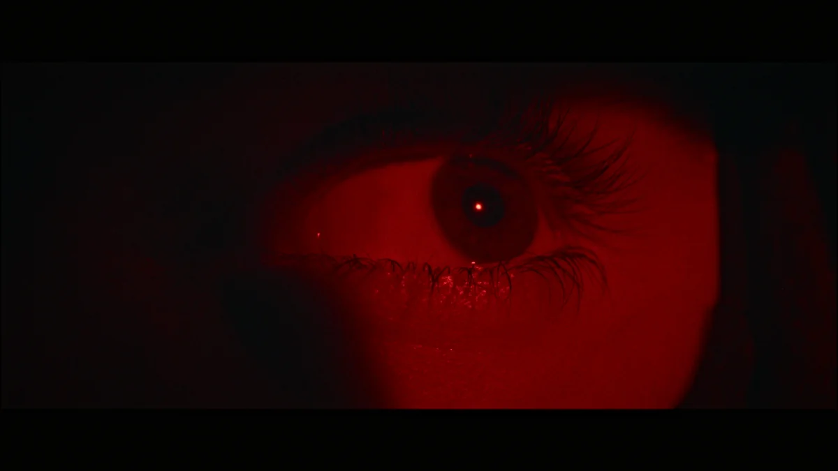 Lights Out · still 18