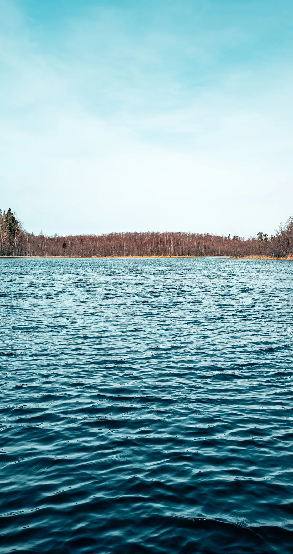 Calm lake and distant treeline, Sweden