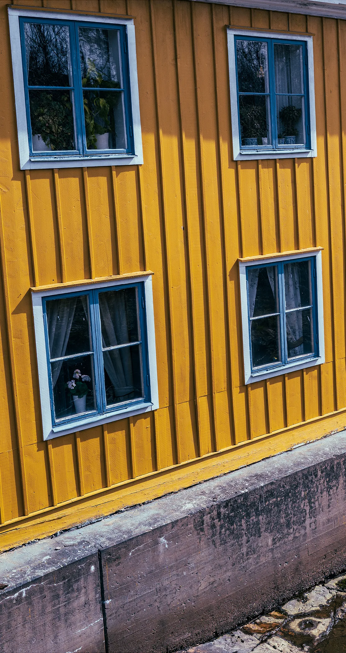 Yellow timber house with blue window frames, Sweden